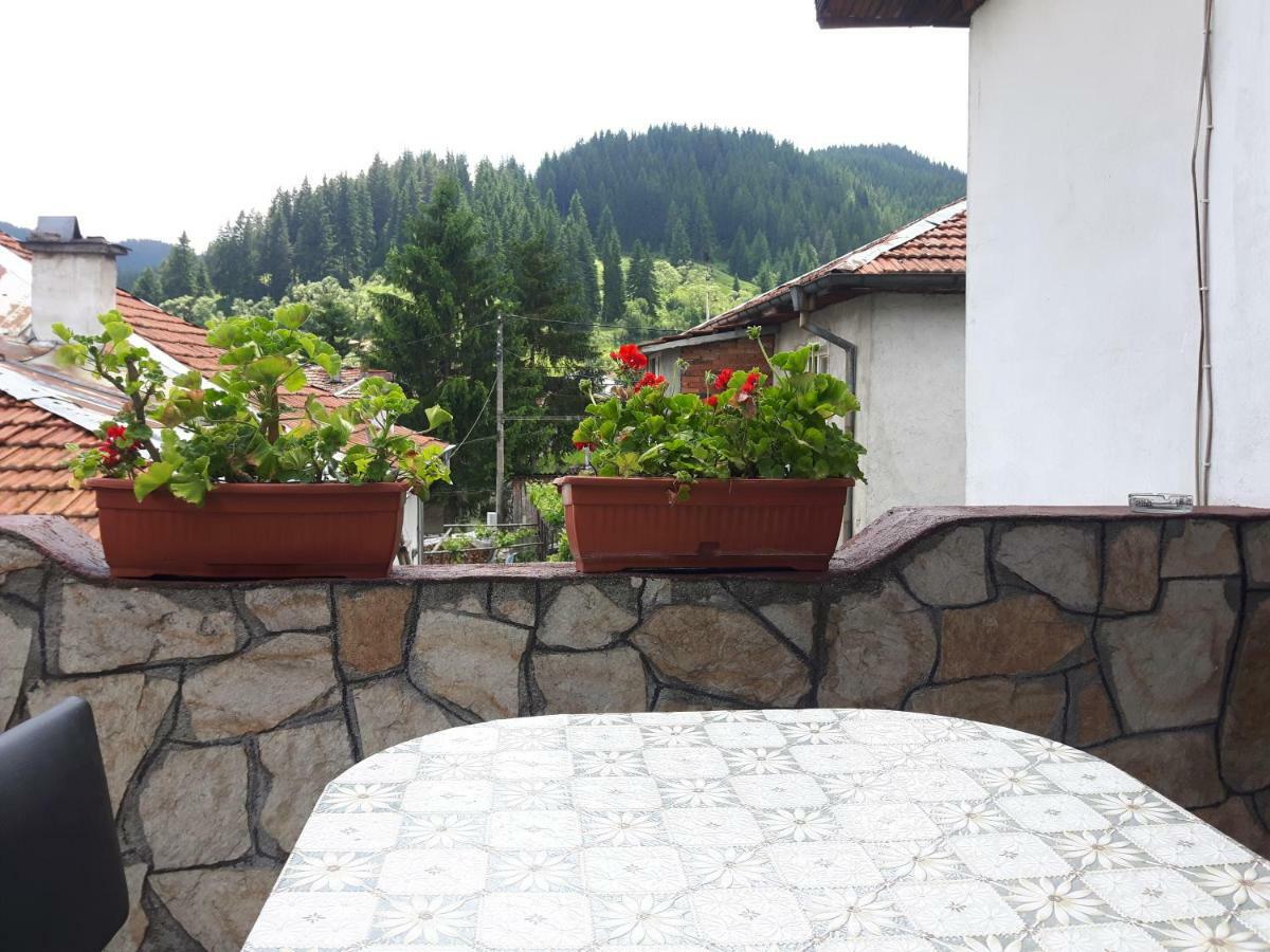 Guest House Denitsa Trigrad Exterior photo